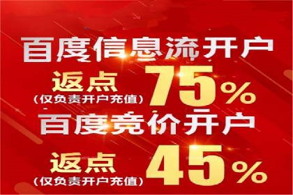 竞价广告的技巧与策略：网络推广的经典案例分享